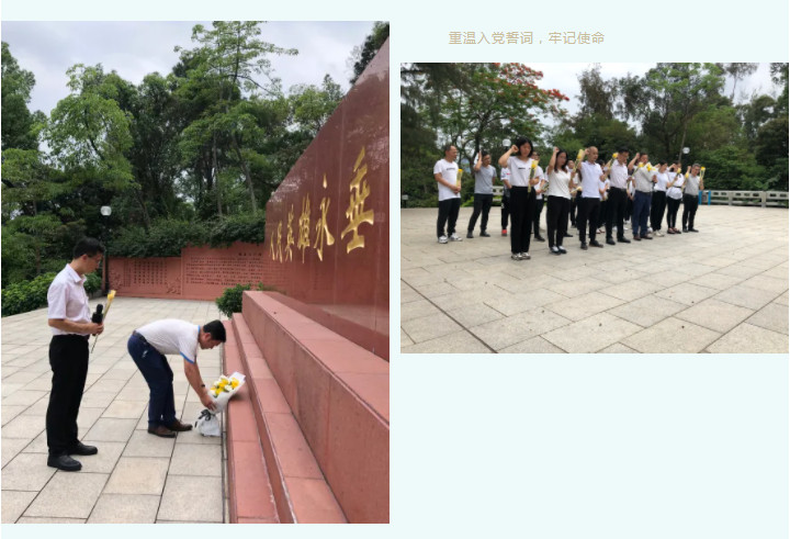 蓝月亮内部资料大全