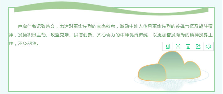 蓝月亮内部资料大全
